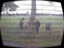 0307training021.jpg