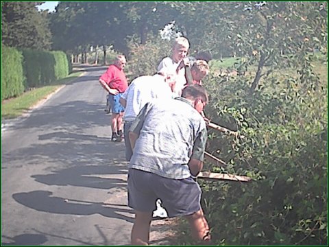 image15.jpg