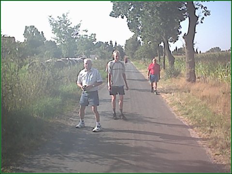 image5.jpg