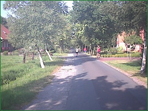 image9.jpg