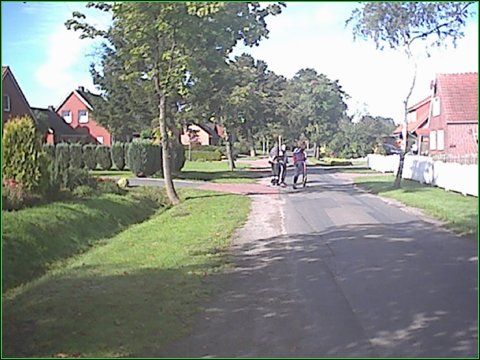 image14.jpg