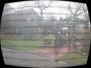 0311zwischenbergen009.jpg