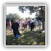 Bild 095