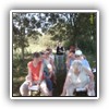 Bild 116
