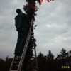 Bild 042