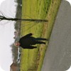 UrlauberOlivia0023