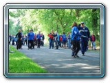 lmhesel200607015